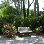 Oda ve Kahvaltı Terme Di Caldana