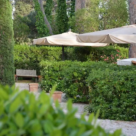 Oda ve Kahvaltı Terme Di Caldana