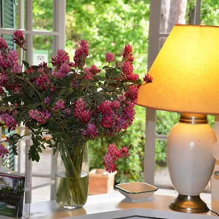 Bed & Breakfast Terme Di Caldana Venturina Terme