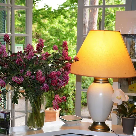 Bed & Breakfast Terme Di Caldana Venturina Terme